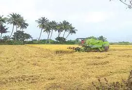 பிள்ளபாளையத்தில் நெல் அறுவடை பணி