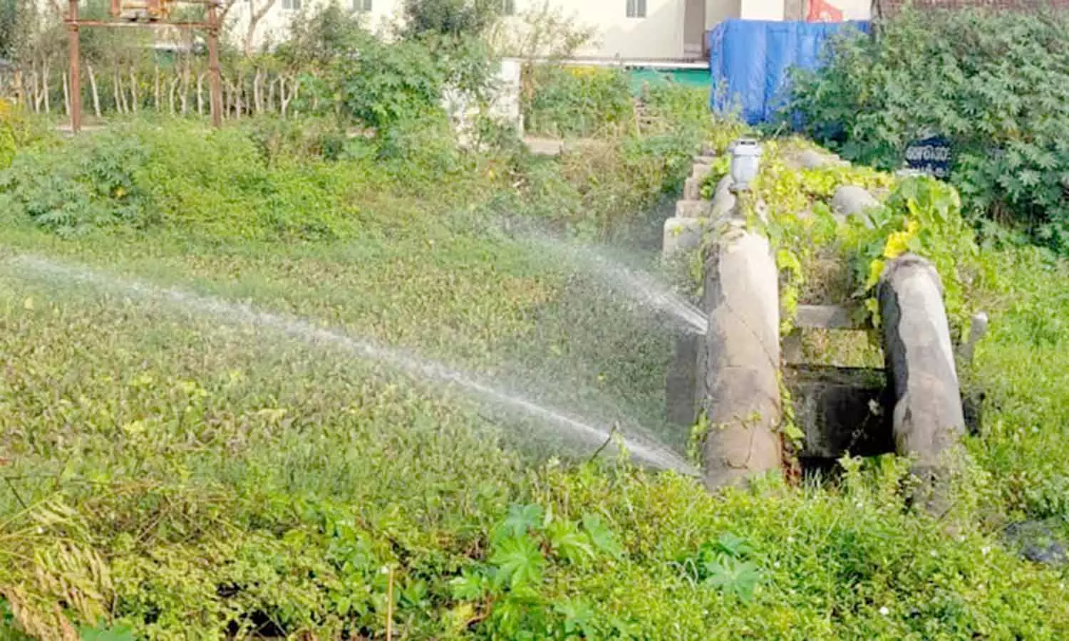 வேதாரண்யம் அருகே கொள்ளிடம் கூட்டு குடிநீர் திட்ட குழாயில் உடைப்பு வேதாரண்யம் அருகே கொள்ளிடம் கூட்டு குடிநீர் திட்ட குழாயில் உடைப்பு