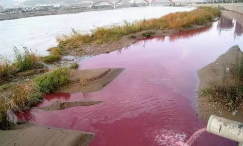 சுத்தம் செய்யப்பட்ட நொய்யல் ஆற்றில் சாயக்கழிவு நீர் கலப்பு - பொதுமக்கள் அதிர்ச்சி