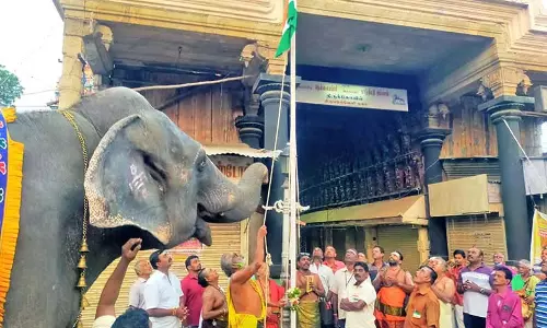 நெல்லையப்பர் கோவில் முன்பு  தேசிய கொடி ஏற்றி பூஜை - காந்திமதி யானை மரியாதை செய்தது