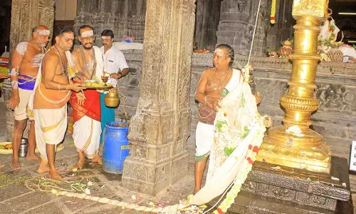 நெல்லையப்பர் கோவிலில் தைப்பூசத் திருவிழா கொடியேற்றத்துடன் தொடங்கியது