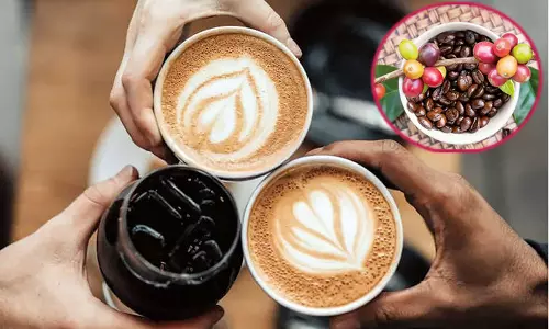 சுவையான சுவாரசியம்... கமகமக்கும் காபி