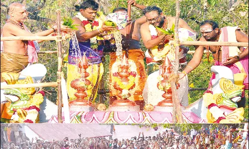 பூதப்பாண்டி பூதலிங்கசாமி கோவில் கும்பாபிஷேகம்: திரளான பக்தர்கள் தரிசனம்