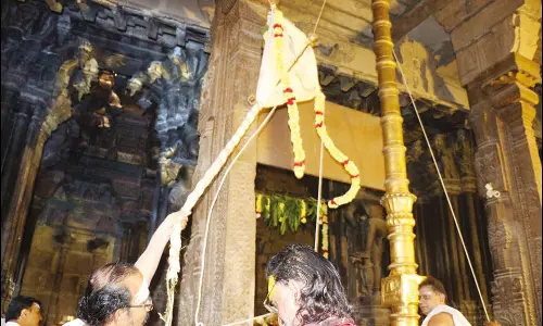 நெல்லையப்பர் கோவிலில் தைப்பூச திருவிழாகொடியேற்றத்துடன் தொடங்கியது