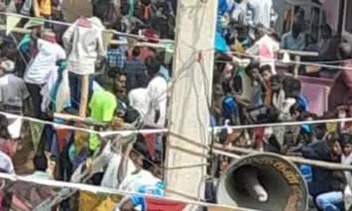 வேலூர் - திருவண்ணாமலை பிரதான சாலையில் ஓடிய காளைகள்