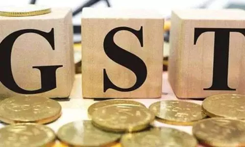 ரூ.366 கோடி ஜி.எஸ்.டி. மோசடி செய்ததாக தெரு வியாபாரி மீது வழக்கு
