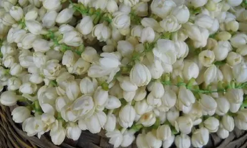 சேலத்தில் பூக்கள் விலை, விற்பனை அதிகரிப்பு