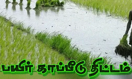 விவசாயிகள் பயிர் காப்பீடு செய்ய வேண்டும்