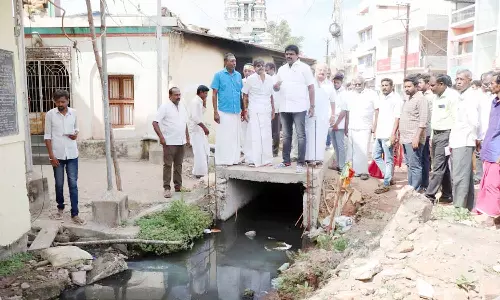 தஞ்சை தெற்கு வீதியில் கழிவுநீர் சாலையில் ஓடாமல் இருக்க நடவடிக்கை- மேயர் உறுதி