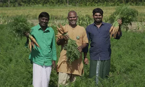 கேரட், பீட்ரூட்டை சமவெளியில் சாகுபடி செய்து மண் காப்போம் இயக்கம் சாதனை
