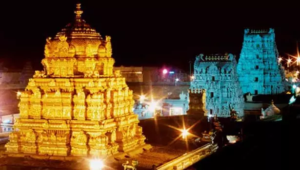 24 மணி நேரத்தில் திருப்பதி தேவஸ்தான செல்போன் செயலியை 10 லட்சம் பேர் பதிவிறக்கம் 24 மணி நேரத்தில் திருப்பதி தேவஸ்தான செல்போன் செயலியை 10 லட்சம் பேர் பதிவிறக்கம்