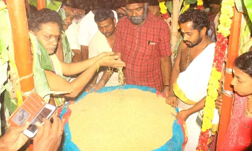 டவுன் நெல்லையப்பர் கோவிலில் நெல்லுக்கு வேலியிட்ட திருவிழா- திரளான பக்தர்கள் பங்கேற்பு