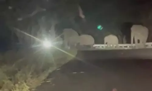 பண்ணாரி ரோட்டில் கூட்டமாக நின்ற யானைகள்