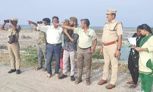 கோடியக்கரை சரணாலயத்தில், பறவைகள் கணக்கெடுக்கும் பணி தொடக்கம்