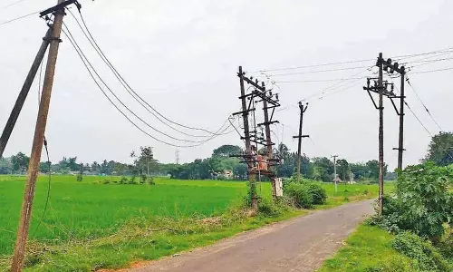 வயல்வெளிகளில் தாழ்வாக செல்லும் மின்கம்பிகள் - விவசாயிகள் கவலை