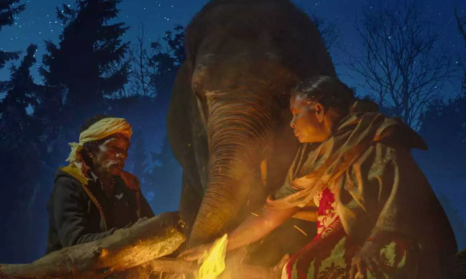 ஆஸ்கர் இறுதிப் பட்டியலில் தி எலிபண்ட் விஸ்பெரர்ஸ் ஆவணப்படம்- பாகன் தம்பதியினருக்கு குவியும் பாராட்டுக்கள் ஆஸ்கர் இறுதிப் பட்டியலில் தி எலிபண்ட் விஸ்பெரர்ஸ் ஆவணப்படம்- பாகன் தம்பதியினருக்கு குவியும் பாராட்டுக்கள்