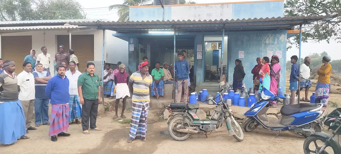 பணம் தராமல் இழுத்தடிப்பு: பால் உற்பத்தியாளர்கள் போராட்டம் பணம் தராமல் இழுத்தடிப்பு: பால் உற்பத்தியாளர்கள் போராட்டம்