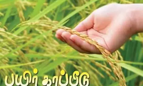 பயிர் காப்பீடு செய்ய விவசாயிகளுக்கு அழைப்பு