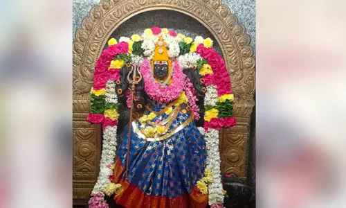 பேட்டை பகவதி அம்மன் கோவிலில் சிறப்பு வழிபாடு