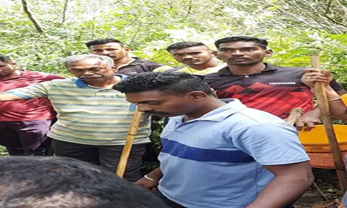 கல்வராயன் மலைப்பகுதியில்5,200 லிட்டர் சாராயஊறல் அழிப்பு