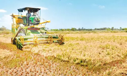 நெல் கொள்முதல் செய்யும் பணி தற்காலிகமாக நிறுத்தம்