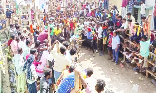 காளைகள் முட்டி 30 பேர் காயம்