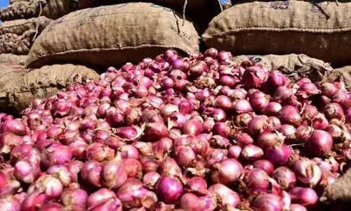 சின்ன வெங்காயம் விலை கடும் சரிவு