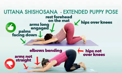 முதுகுத்தண்டை வலிமையாக்கும் பப்பி போஸ் யோகா