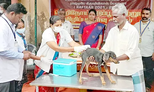 திருத்துறைப்பூண்டியில், வெறிநோய் தடுப்பூசி முகாம்