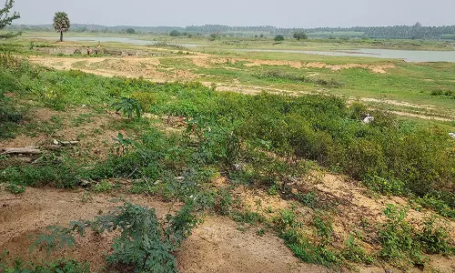 உடன்குடி பகுதியில்  குளங்களில் தண்ணீர் இல்லாததால்  விவசாயிகள் கவலை