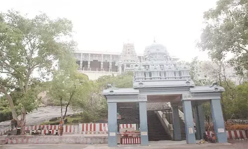 ரத்தினகிரி கோவிலில் பக்தர்கள் காவடி ஊர்வலம்