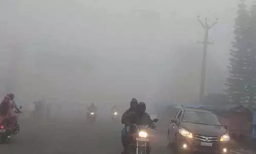 ஏற்காடு, மேட்டூர் சுற்றுலா தலங்களில் கடும் பனி மூட்டம்