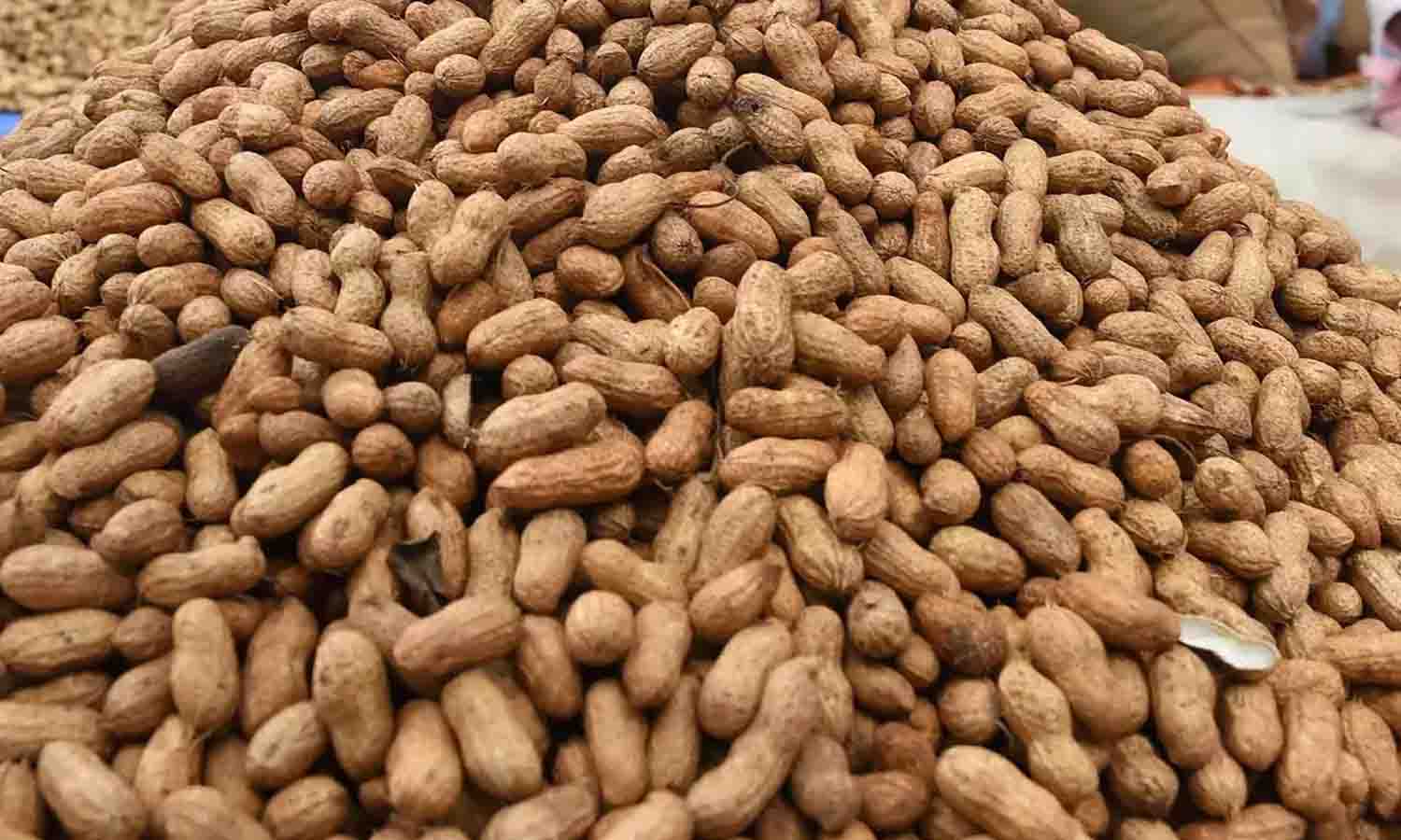 சேவூா் ஒழுங்குமுறை விற்பனைக்கூடத்தில் ரூ.8 லட்சத்துக்கு நிலக்கடலை