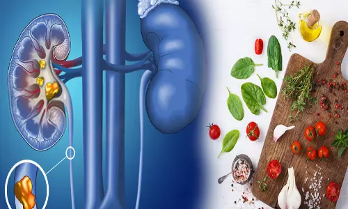 ஆரம்பநிலையில் உள்ள சிறுநீரக கல்... தடுக்கும் சித்த மருந்துகள், உணவுப் பழக்க வழக்கங்கள்