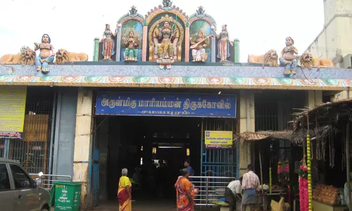 சமயபுரம் மாரியம்மனை வேண்டிமண் சோறு சாப்பிட்டு நேர்த்திக்கடன் செலுத்திய பக்தர்கள்