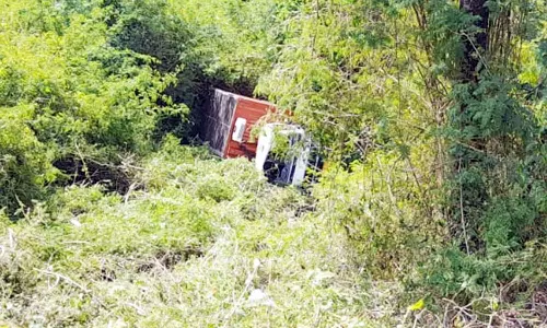 கொடைக்கானலில் 300 அடி பள்ளத்தில் தலைகுப்புற கவிழ்ந்த லாரி- 4 பேர் படுகாயம்