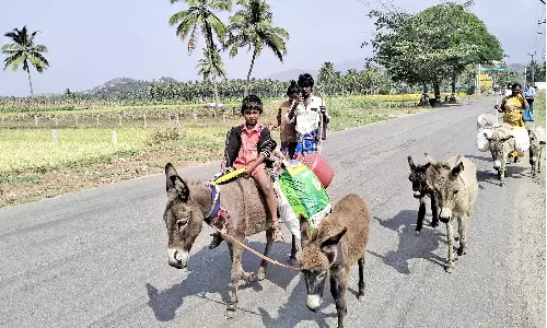 குமரி மாவட்டத்தில் கழுதை பாலுக்கு கடும் கிராக்கி: ஒரு சங்கு ரூ.100-க்கு விற்பனை