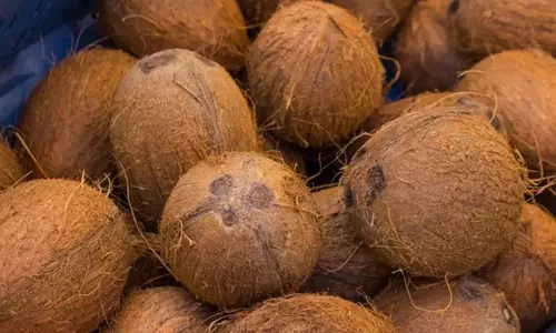 ரூ.78 ஆயிரத்துக்கு தேங்காய்கள் ஏலம்