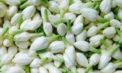 சேலத்தில் ஒரு கிலோ மல்லிகை பூகிலோ ரூ.1400-க்கு விற்பனை