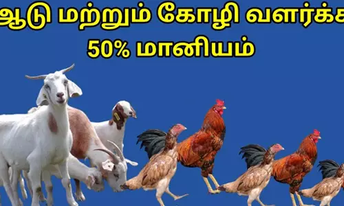 கால்நடை வளர்ப்புக்கு 50 சதவீதம் மானியம்