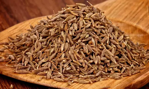 அஞ்சறைப்பெட்டியின் மெய்க்காப்பாளன் சீரகம்