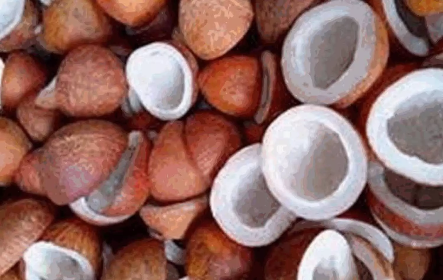 வெள்ளகோவிலில் ரூ.37 லட்சத்திற்கு தேங்காய் பருப்பு ஏலம் வெள்ளகோவிலில் ரூ.37 லட்சத்திற்கு தேங்காய் பருப்பு ஏலம்