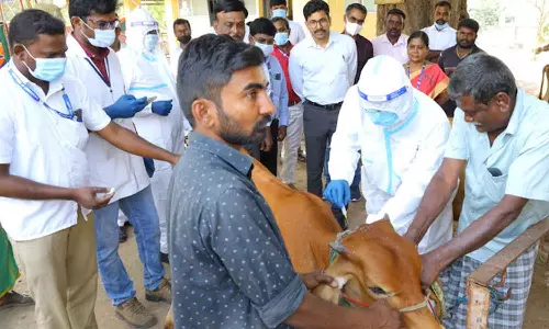 கால்நடைகளுக்கு தடுப்பூசி செலுத்தும் முகாம் - கலெக்டர் தொடங்கி வைத்தார்