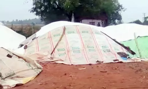 தஞ்சையில்  இடைவிடாத மழையால்  1 லட்சம் ஏக்கரில் சம்பா அறுவடை பணிகள் பாதிப்பு