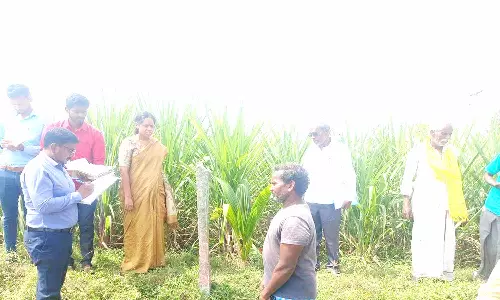 வேளாண் திட்ட பணிகளை அதிகாரி ஆய்வு