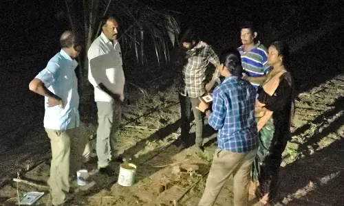 தொழுவத்தில் கட்டியிருந்த கன்று குட்டியை இழுத்து சென்றது சிறுத்தை புலி? வனத்துறையினர் ஆய்வு