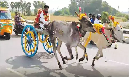 மணமகளை ரேக்ளா வண்டியில் ஊர்வலமாக அழைத்து வந்த மணமகன்