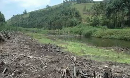 வெள்ளம், நிலச்சரிவுகளை தடுக்க ஈர நிலங்களை பாதுகாக்க வேண்டும்