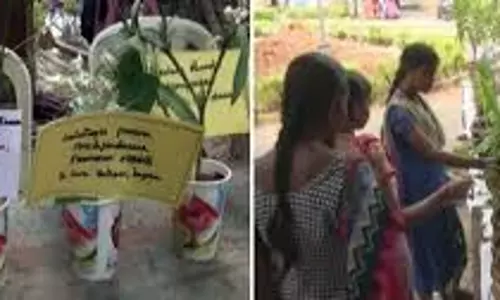 அரசு பள்ளியில் மூலிகை கண்காட்சி