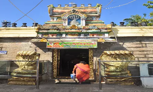 நாகராஜா கோவில் தை திருவிழாவில் 5-ந் தேதி தேரோட்டம்